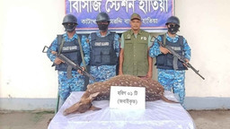 নোয়াখালীতে জবাইকৃত হরিণ উদ্ধার