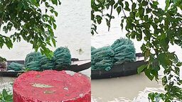 গোপালগঞ্জজুড়ে চায়না দুয়ারী জালের দাপট, হুমকির মুখে দেশীয় মাছ