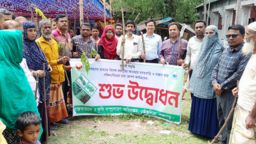 পঞ্চগড়ের তেঁতুলিয়ায় বসতবাড়ী ও রাস্তার ধারে সজিনা চারা রোপনের শুভ উদ্বোধন