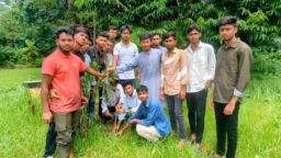 কলেজ ছাত্রদলের বৃক্ষরোপণ কর্মসূচি