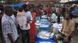 টুঙ্গিপাড়ায় ৪শ’ বছরের জামাই মেলা ঘিরে আনন্দ-উৎসব