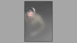 ফেনীর রাজাঝির দিঘী থেকে উদ্ধারকৃত লাশের পরিচয় মিলেছে