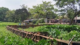 জলাশয় ভরাট করে ট্রাকস্ট্যান্ড নির্মাণ, ঝালকাঠি পৌর কর্তৃপক্ষের বিরুদ্ধে সড়ক ও জনপথ বিভাগের অভিযোগ