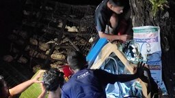 ঝালকাঠিতে গাছের সঙ্গে ধাক্কা লেগে মুরগিবাহী পিকআপের হেলপার নিহত, আহত ৩