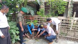 জুলাই পুনর্জাগরণ -২০২৫ এর অংশ হিসাবে বৃক্ষ রোপণ কর্মসূচি