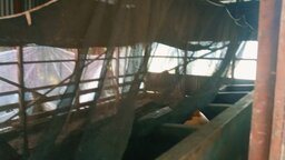 কোটালীপাড়ায় গভীর রাতে গোয়ালঘর ভেঙে ৫টি গরু চুরি