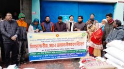 পঞ্চগড়ের তেঁতুলিয়ায় কৃষক-কৃষাণীদের মাঝে গম বীজ ও রাসায়নিক সার বিতরণ