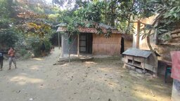 বাবা-মাকে জ্যান্ত কবরের চেষ্টা !