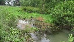 পিরোজপুরে খাস জলাশয়ে মাছ ধরা নিয়ে বিএনপির দু’পক্ষের সংঘর্ষ, আহত ৪