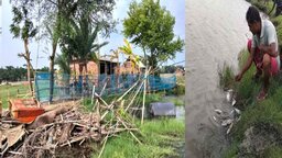 পাইকগাছায় ভূমিহীনদের বাড়িঘরে হামলা-লুটপাট ও মাছের ঘেরে বিষ প্রয়োগের অভিযোগ