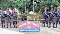 পঞ্চগড় সীমান্তে বিজিবির অভিযানে ৪টি ভারতীয় গরু আটক