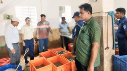 পাইকগাছায় পুশবিরোধী অভিযান, দুই চিংড়ি ব্যবসায়ীকে ১৭ হাজার টাকা জরিমানা