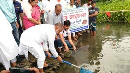 কোটালীপাড়ায় দেশীয় মাছের পোনা অবমুক্ত