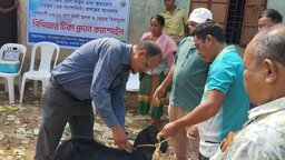 বিলাইছড়িতে পিপিআর টিকা ক্যাম্পেইন পরিদর্শনে জেলা প্রাণীসম্পদ কর্মকর্তা