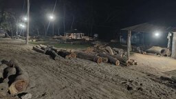 কুয়াকাটায় সরকারি গাছ চুরির অভিযোগে শ্রমিক দল নেতাসহ ৪ জনের বিরুদ্ধে মামলা