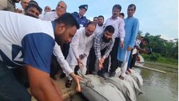 ভাঙন থামাতে বিষখালী নদীর তীরে জরুরি জিও ব্যাগ ফেলা কার্যক্রম উদ্বোধন