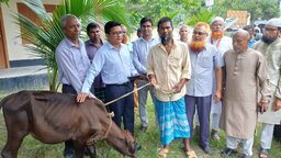শিবচরে বিনামূল্যে গাভী পেল হতদরিদ্র ৬ পরিবার