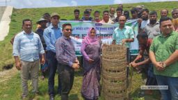 নড়াইলে হাজারো গাছের রঙিন সমারোহ, প্রাণ-প্রকৃতি বাঁচাতে প্রশাসনের উদ্যোগ