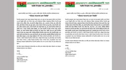 সরাইলে রুমিন ফারহানার পক্ষে প্রচারণা, বিএনপির ৩২ নেতা বহিষ্কার