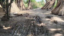 স্বাধীনতার ৫৪ বছরেও পাকা সড়কের ছোঁয়া পায়নি আলফাডাঙ্গার ৫ গ্রাম