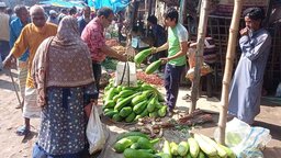 নীলফামারীতে পাইকারি বাজারে সবজির দামে স্বস্তি, খুচরা বাজার এখনো চড়া