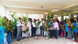 গাছ লাগান, জীবন গড়ুন—পাথরঘাটায় ২০০ পরিবারকে সহায়তা