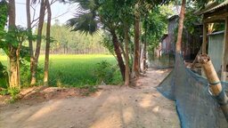 কোটালীপাড়ায় রাস্তার অভাবে ২৫০ পরিবারের চরম দুর্ভোগ