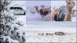 সৌদিতে বিরল তুষারপাত, মরুভূমির উপত্যকা ঢেকে গেল বরফের চাদরে