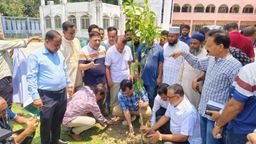 সাতক্ষীরায় বৃক্ষরোপণ কর্মসূচির উদ্বোধন করলেন জেলা পরিষদ প্রশাসক সাবেক এমপি হাবিব