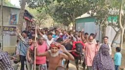 শেরপুর-২ এ ধানের শীষের জয়, বাজিতে মিলল মহিষ—গ্রামজুড়ে চাঞ্চল্য