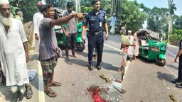 রাজাপুরে সিএনজি-ট্রাকের মুখোমুখি সংঘর্ষ, আহত ৪