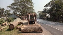 লক্ষীপাশার বনখেকো তেলাব উজাড় করে দিচ্ছে গোপালগঞ্জের বন