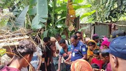 বকশীগঞ্জে বন্য হাতির আক্রমণে প্রাণ গেল বৃদ্ধ শ্রমিকের
