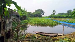 কাশিয়ানীতে ব্রিজের মুখ ভরাট করে সরকারি জমি দখল