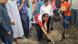 চাটখিলে খাল খনন প্রকল্পের উদ্বোধন করলেন ব্যারিস্টার মাহবুব উদ্দিন খোকন